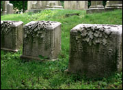 gravestones (Christopher L. Walton)